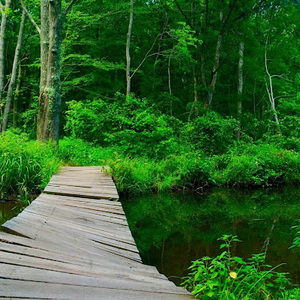 Meet your Posher, Jimmy